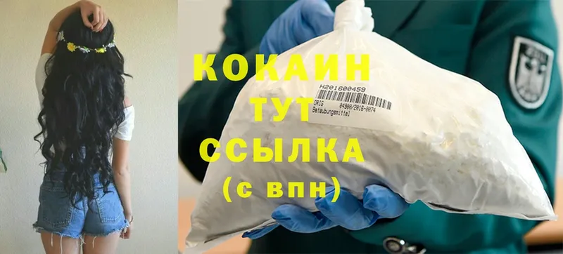 Cocaine 99%  hydra ТОР  Камешково 