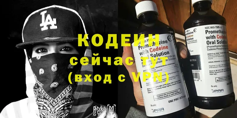 Кодеин напиток Lean (лин)  купить закладку  Камешково 